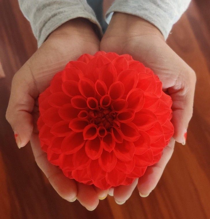 nhung hinh anh hoan hao den kho tin trong cuoc song