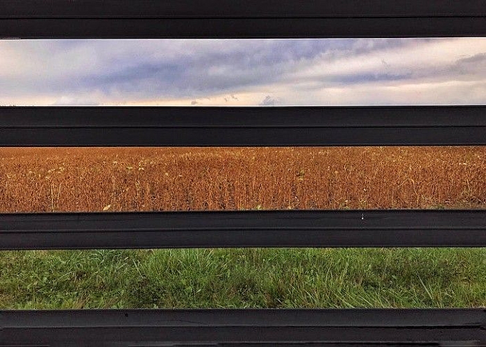 nhung hinh anh hoan hao den kho tin trong cuoc song