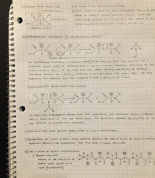nhung hinh anh hoan hao den kho tin trong cuoc song