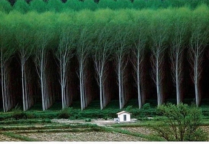 nhung hinh anh hoan hao den kho tin trong cuoc song