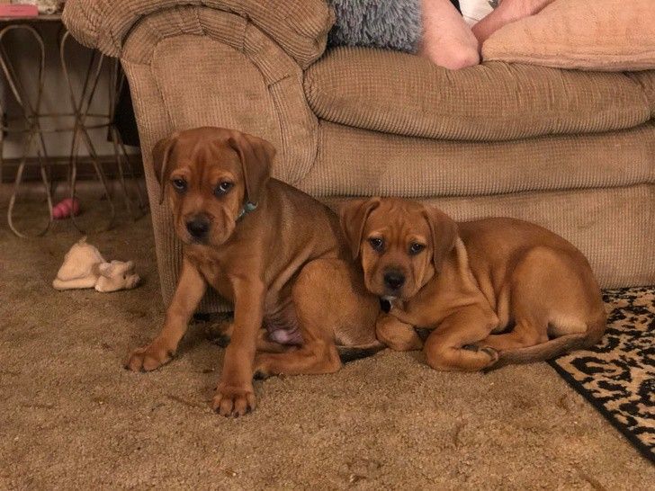 khoanh khac tinh yeu luon o quanh ta