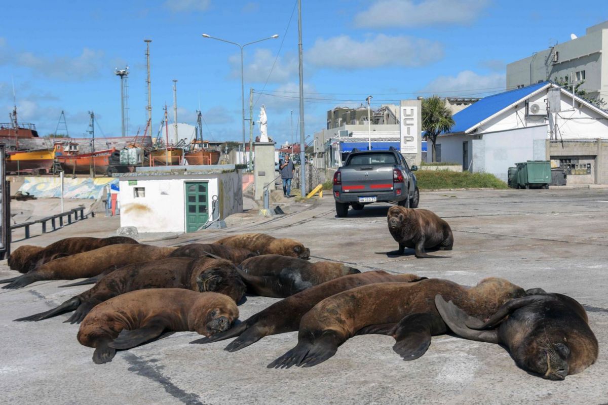 argentina su tu bien nhon nho len bo suoi nang giua pho xa vang tanh