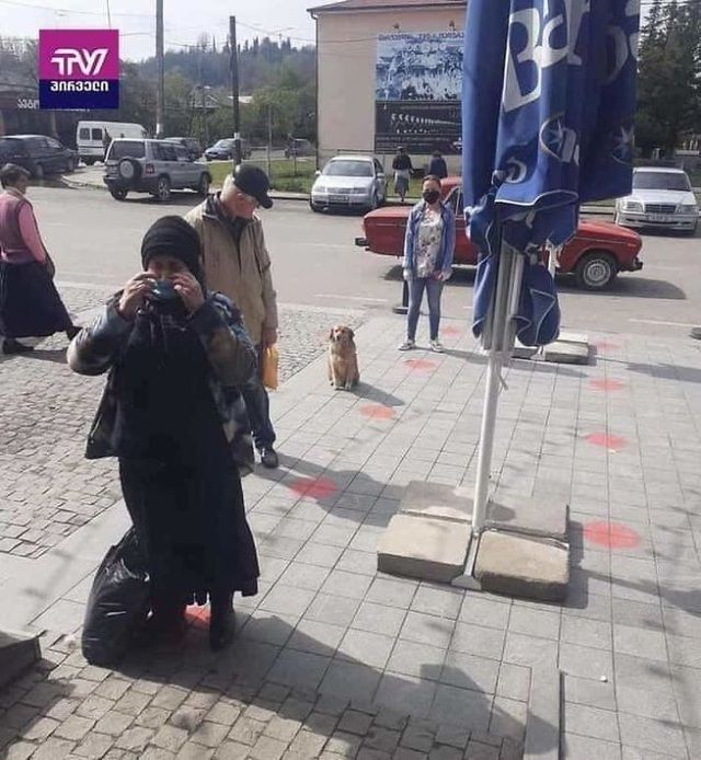 chum anh vui loai vat cung biet tuan thu gian cach xa hoi