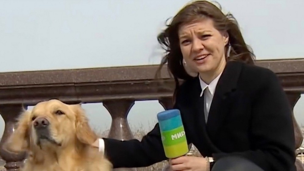 Sự cố hy hữu: Chú chó 'cướp' micro của phóng viên trên bản tin truyền hình trực tiếp