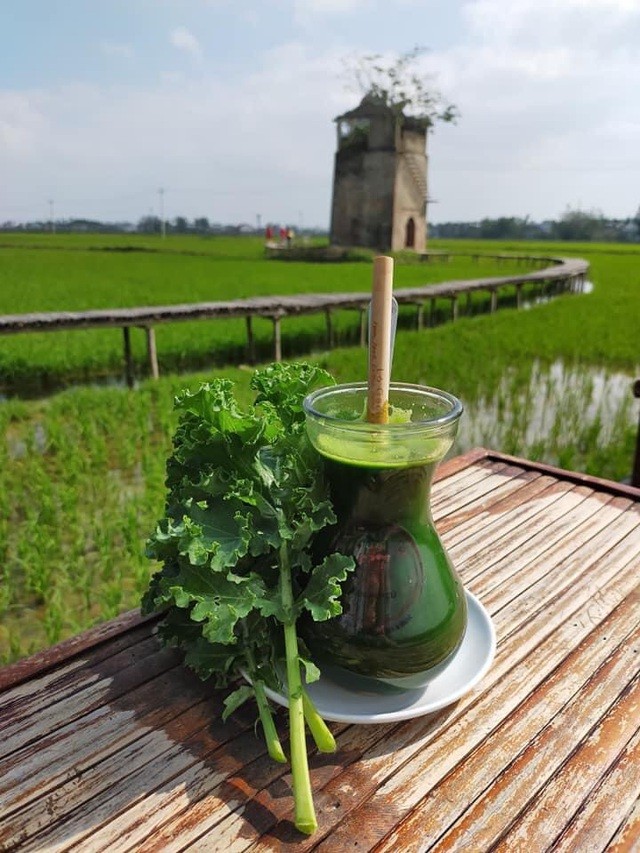 Độc đáo quán cà phê 'Lò gạch cũ' nằm giữa cánh đồng lúa xanh ngát