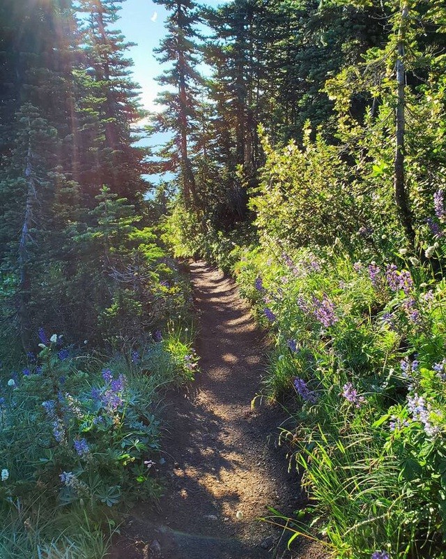 Đèo Hải Vân xếp thứ tư trong những cung đường được chụp ảnh nhiều nhất trên Instagram Đèo Hải Vân xếp thứ tư trong những cung đường được chụp ảnh nhiều nhất trên Instagram