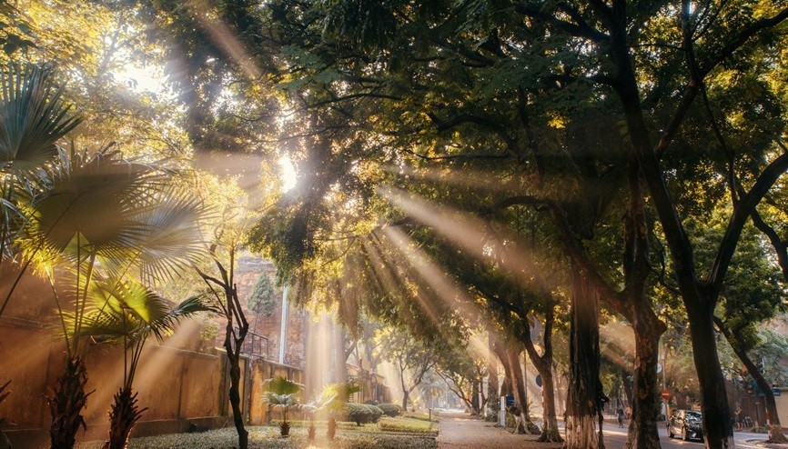 Dự báo thời tiết đêm nay và ngày mai (8-9/4): Bắc Bộ, Bắc Trung Bộ đêm và sáng sớm trời lạnh, không mưa; phía Nam chiều tối mưa dông vài nơi