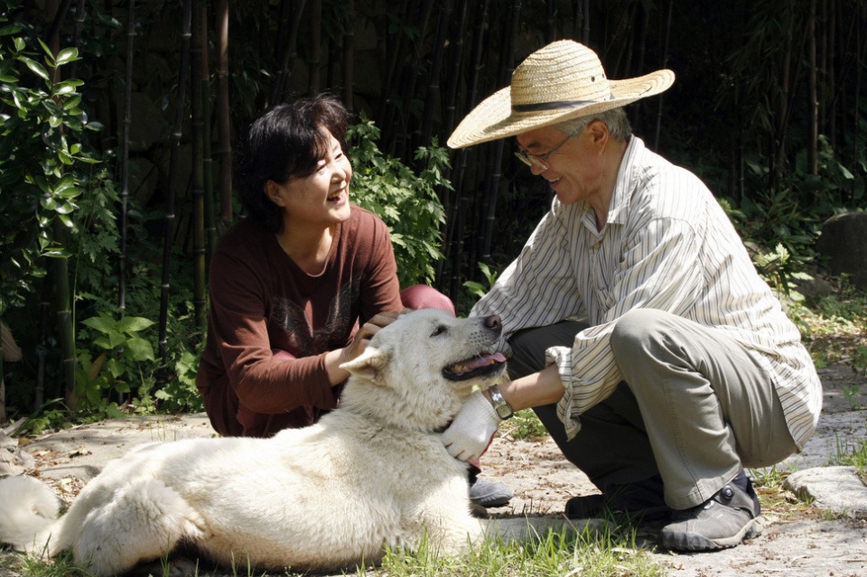 duong den quyen luc cua tan tong thong han quoc