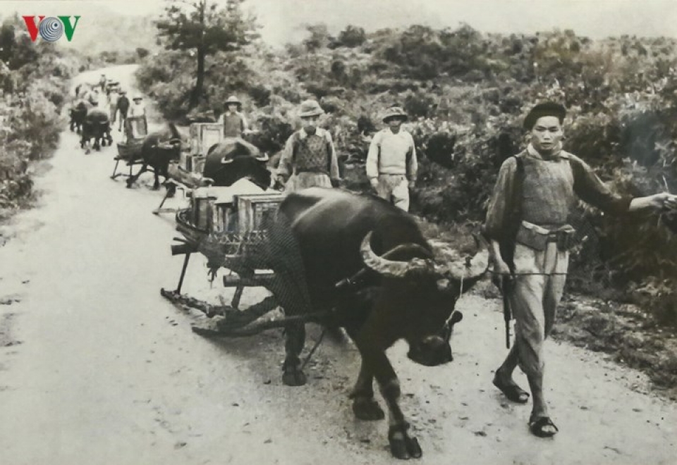 suc manh hau can cua ta trong chien dich dien bien phu