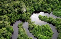 dien tich rung bi chat pha tai brazil lon nhat the gioi