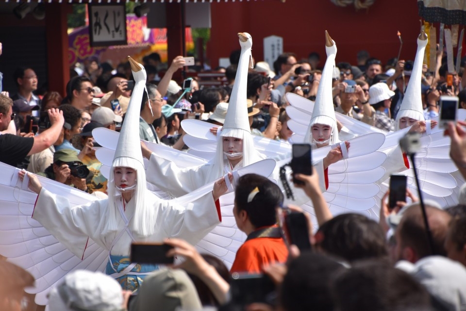 kham pha le hoi mua xuan cua nguoi nhat ban