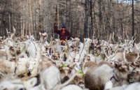 tang cuong hop tac dia phuong viet nam mong co