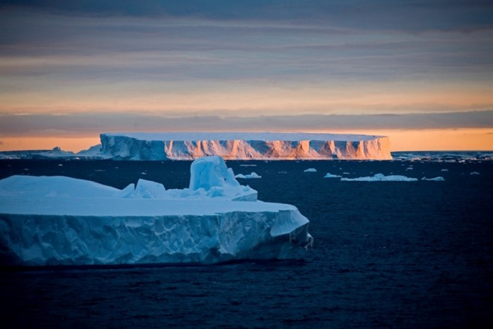 nam phi xem xet mua nui bang tu nam cuc de chong han han