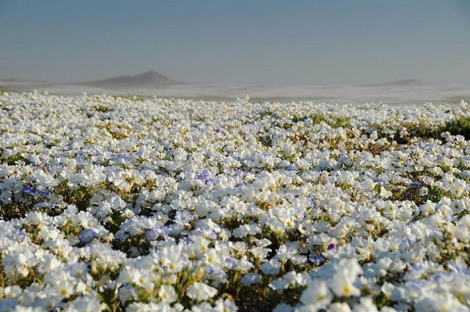 hien tuong thien nhien ruc ro sac mau tren the gioi