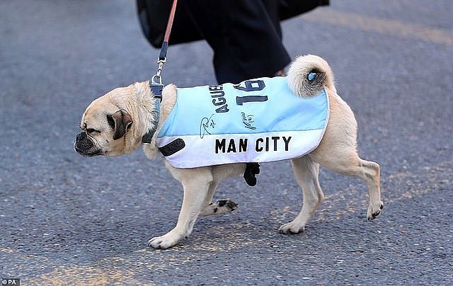 man city mang chien loi pham dieu hanh quanh thanh pho manchester