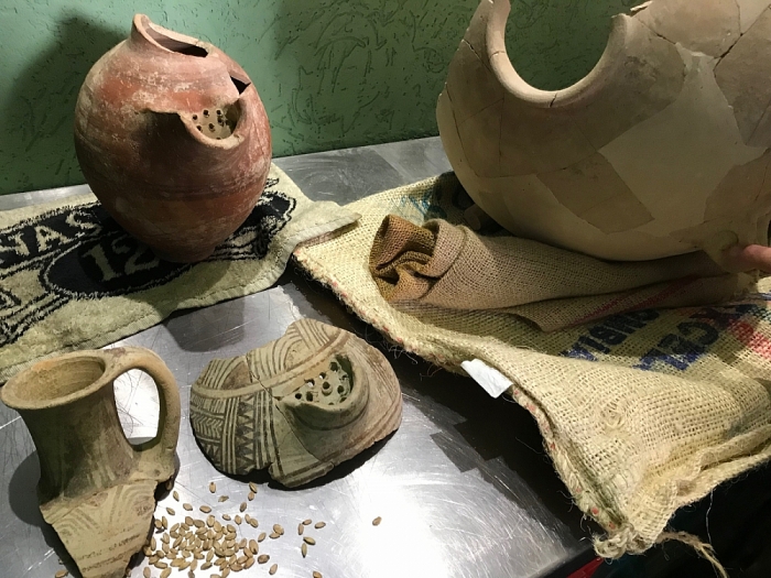 Israel sản xuất thành công bia bằng loại men có cách đây hơn 5.000 năm israel san xuat thanh cong bia bang loai men co cach day hon 5000 nam