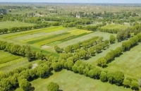 Trung Quốc phủ xanh kỳ diệu sa mạc rộng 42.000 km2