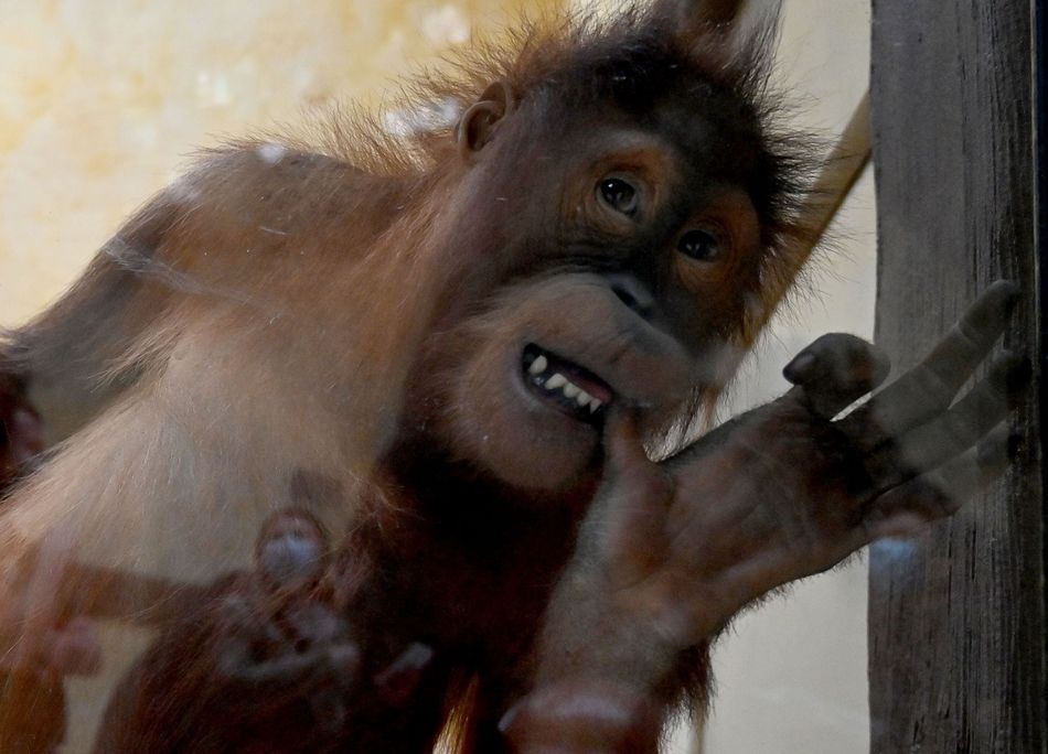 dich covid 19 duoi uoi o so thu phat khoc vi nho du khach