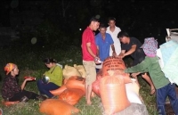 Nhiệt độ ban ngày lên 40 độ, nông dân tranh thủ thu hoạch lúa vào ban đêm