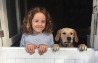 anh an tuong tuan 1 76 bieu tinh cuong no o my nam dam cua ong tump va noi dau covid 19 o brazil