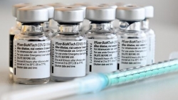 Việt Nam sẽ mua 31 triệu liều vaccine Covid-19 của Pfizer trong năm nay