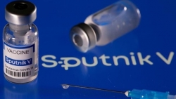Covid-19: Lý do số ca tử vong ở Nga cao hơn thực tế, Argentina nghiên cứu khả năng của vaccine Sputnik V