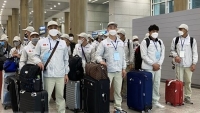 Hàn Quốc mở lại kênh tiếp nhận lao động thời vụ từ Việt Nam