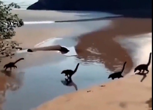 Sự thật về video đàn khủng long con chạy trên bãi biển