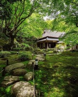 Nhật Bản: Ngôi đền cổ 1.500 tuổi nép dưới tán cây xanh mát