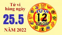 Tử vi hôm nay, xem tử vi 12 con giáp ngày 25/5/2022: Tuổi Tỵ công việc thuận lợi