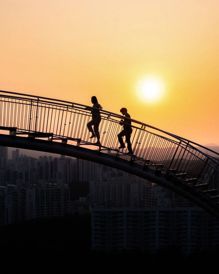 Hàn Quốc: Kiến trúc độc đáo của cầu đi bộ hình tàu lượn siêu tốc Hàn Quốc: Kiến trúc độc đáo của cầu đi bộ hình tàu lượn siêu tốc