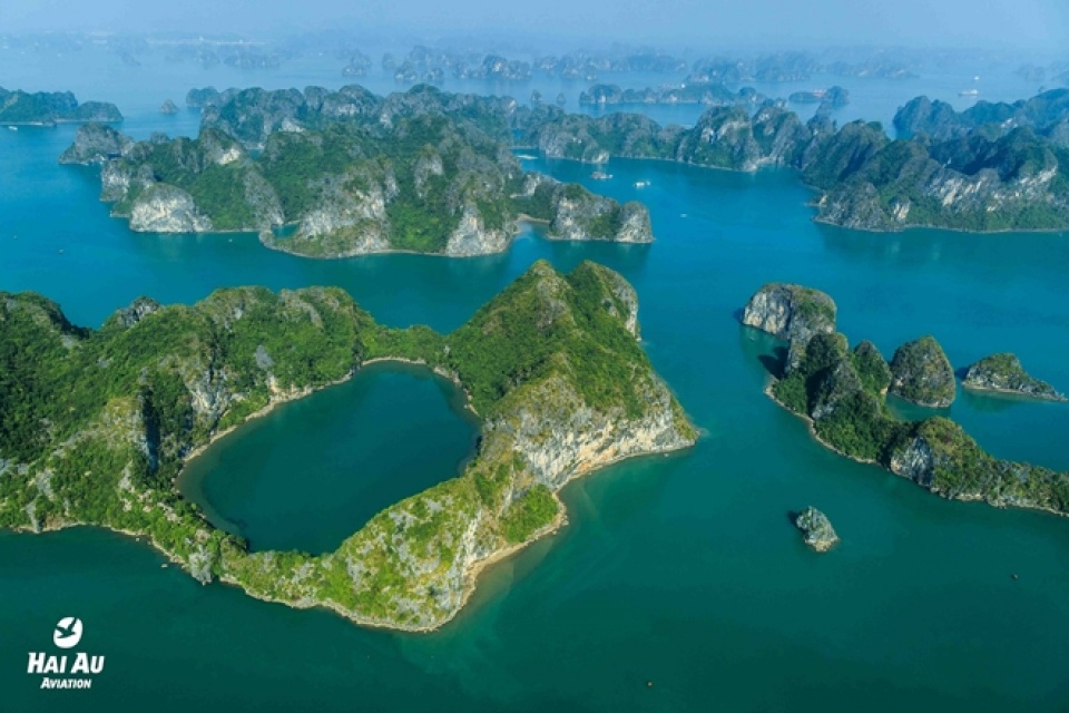 dao dien phim kong dua dao dien phim godzilla tham vinh ha long