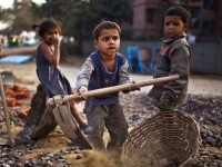 ILO: Hơn 80 triệu trẻ em phải làm những công việc nguy hiểm