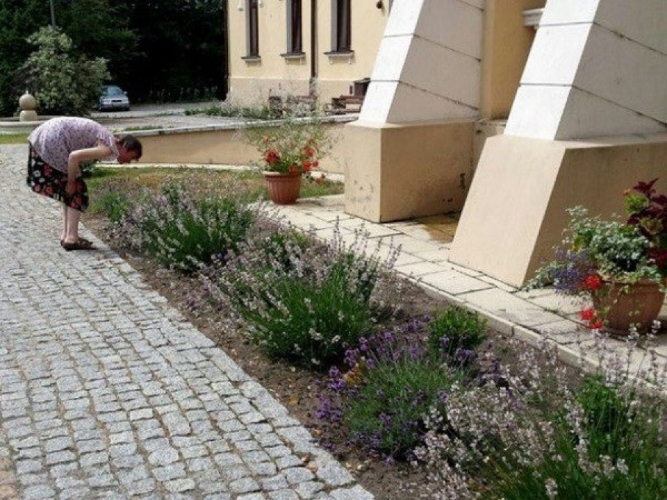 dieu tri benh than kinh thong qua hoat dong lam vuon