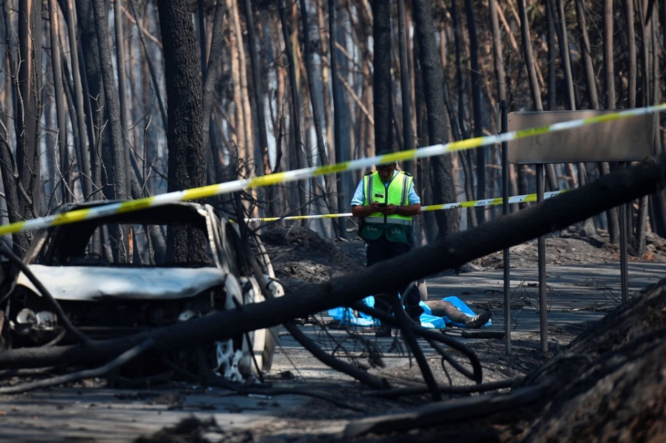 suc tan pha cua ngon lua huy diet o bo dao nha
