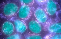 phat hien them 72 bien the gene gay ung thu vu