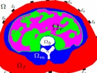 mac benh tuyen giap ban nen tranh nhung dieu nay