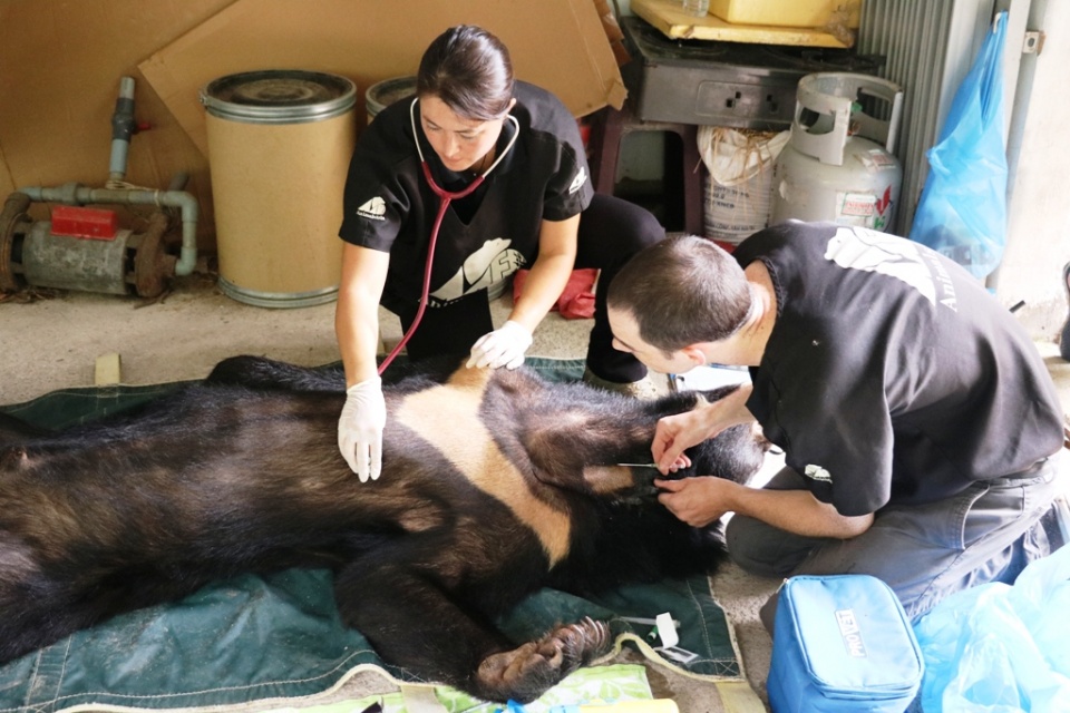 cuu ho toan bo 9 ca the gau ngua tai mot trang trai o binh duong