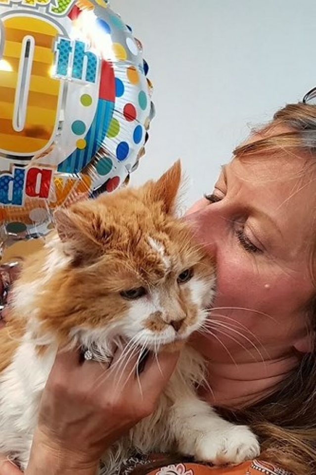 “Cụ” mèo già nhất thế giới mừng sinh nhật lần thứ 138 cu meo gia nhat the gioi mung sinh nhat nam thu 30