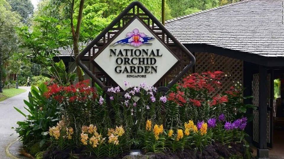 se co hoa lan mang ten ong trump va kim jong un