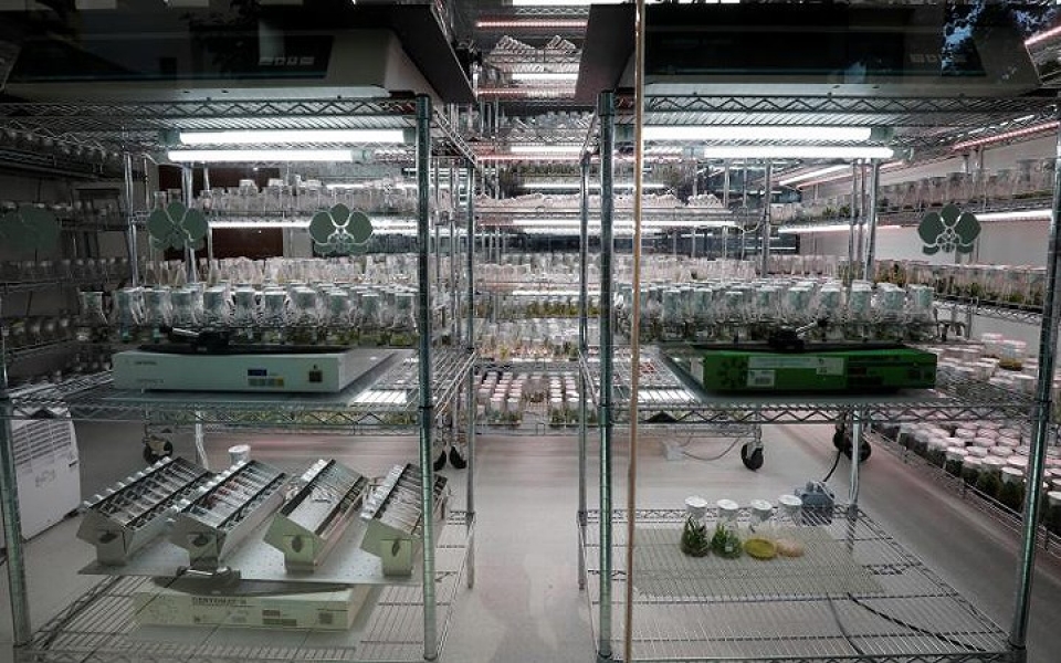 bo suu tap hoa lan mang ten cac lanh dao the gioi cua singapore