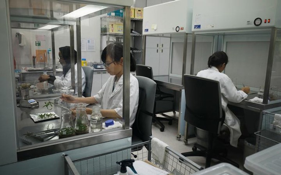 bo suu tap hoa lan mang ten cac lanh dao the gioi cua singapore