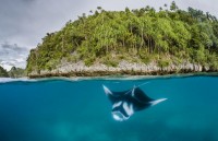 duoi uoi gia nhat the gioi qua doi o so thu australia