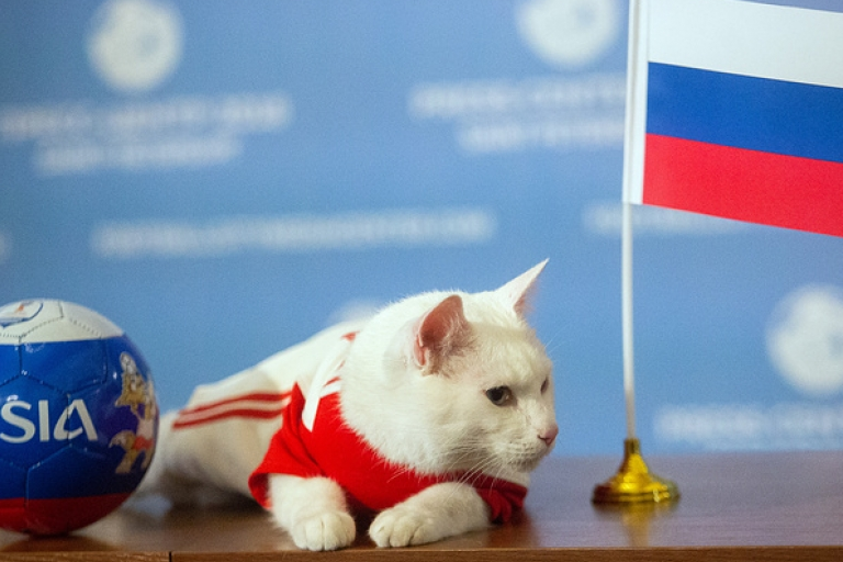 Các "nhà tiên tri động vật" bất đồng về kết quả trận Nga - Saudi Arabia