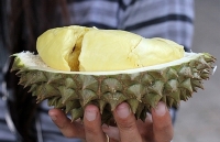 chuoi mau xanh lam ky la tu mau sac cho toi huong vi