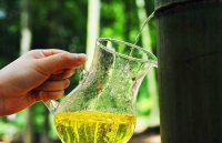 dao 1000 nam tuoi dot ngot lo ra giua long ho can nuoc