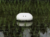 robot hai chan co the di chuyen can bang duoc nhu con nguoi