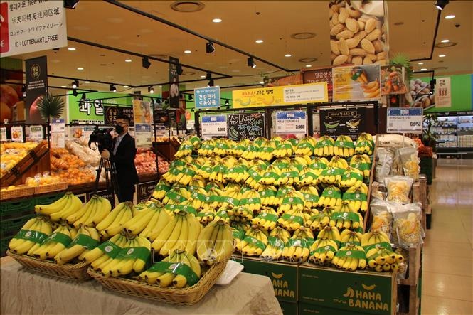 chuoi viet nam co mat tai chuoi sieu thi lotte o han quoc