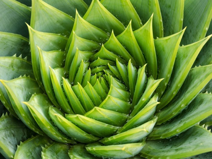 tia uv o nguong nguy hai lam the nao de dieu tri bong nang