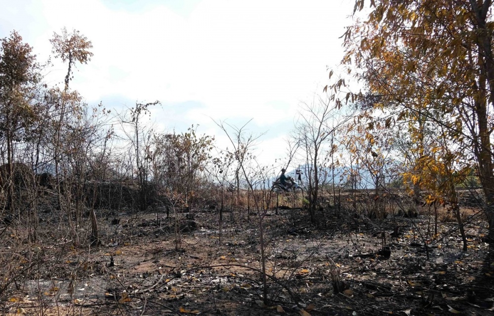 3131 ttxvn 20200629 nang nong